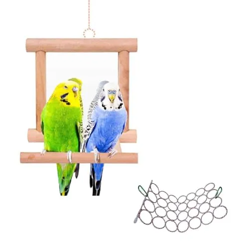 bird mirror climbing cockatiel lovebirds