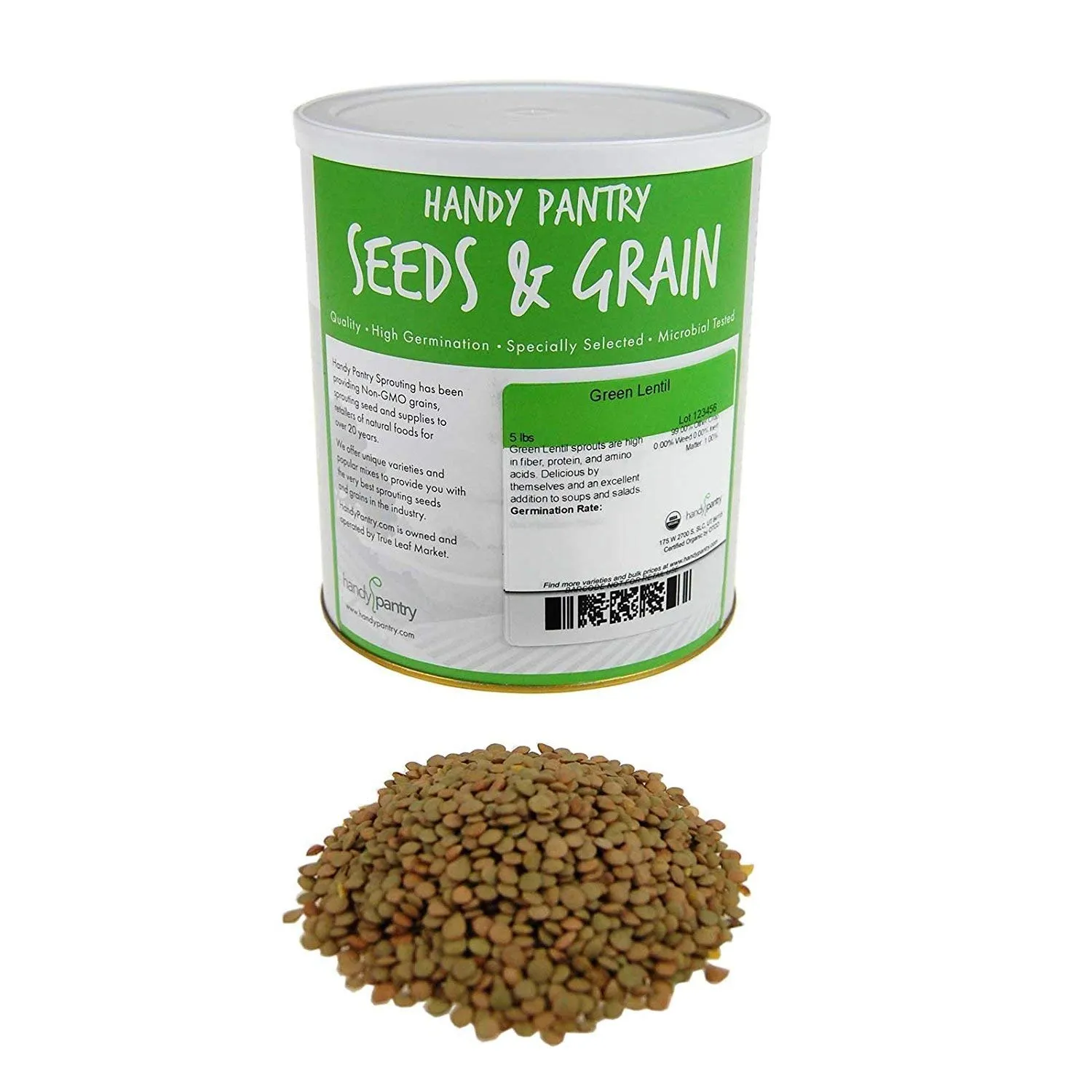 organic green lentil sprouting seeds